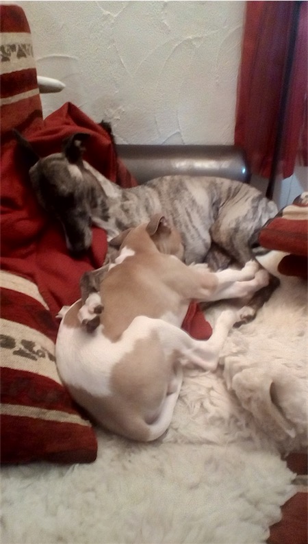 img_20161107_1819236_rewind-small